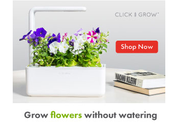 Grow Indoors with Click and Grow