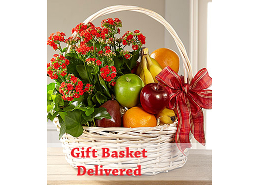 Plants Flowers Gifts Delivered